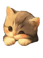 a brown and white kitten laying down with its paw on its face