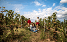 a family sitting in a vineyard with a blue sky in the background