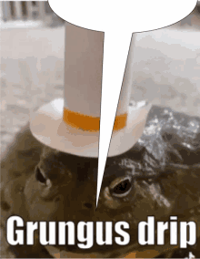 a frog wearing a cowboy hat with the words grungus drip below it