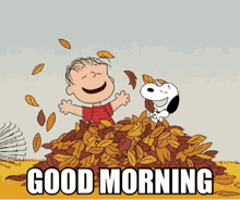 a cartoon of snoopy and linus playing in a pile of leaves with the words good morning written below them