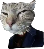 a close up of a cat 's face wearing a suit and tie