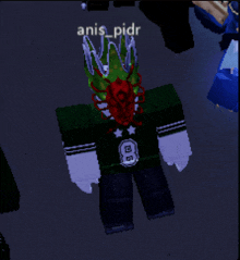 a screenshot of a video game character with the name anis_pidr on it