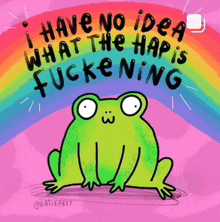 a frog sits under a rainbow with the words " i have no idea what the hap is fucking "