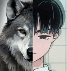 a drawing of a wolf next to a drawing of a boy with black hair