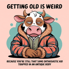 a cartoon cow wearing a plaid jacket with the words getting old is weird