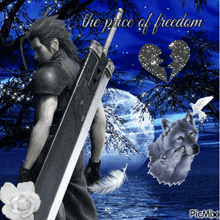 a picture of a man holding a sword with the words " the price of freedom " below him