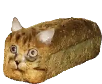 a loaf of bread with a cat 's face on it