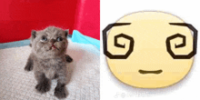 a kitten is sitting on a diaper next to a yellow smiley face .