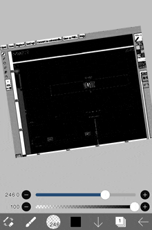 a black and white image of a computer screen with the number 246 on the bottom right