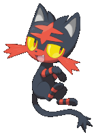 a black cat with a red star on its head