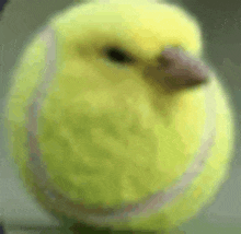 a close up of a tennis ball with a bird on it .