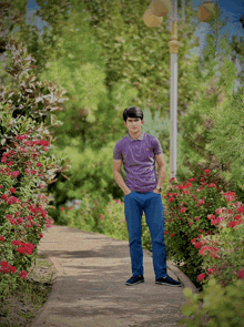 a young man in a purple shirt stands in front of a row of flowers