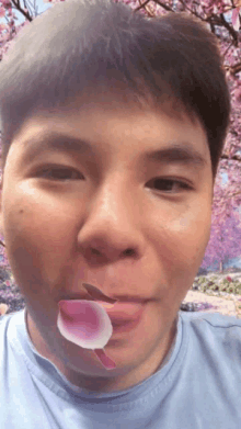 a close up of a man 's face with a pink flower in his mouth