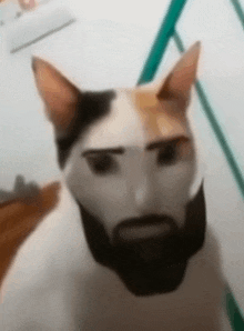 a cat with a fake beard and eyebrows is sitting on a table .