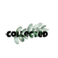 a white background with green leaves and the word collected