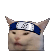 a cat wearing a headband with a naruto logo on it