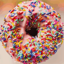 a donut with pink frosting and rainbow sprinkles on it