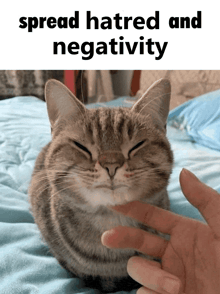 a cat laying on a bed with the words spread hatred and negativity