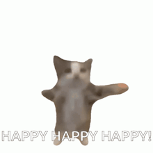 a cat is flying in the air with the words happy happy happy behind it