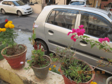 a silver car is parked next to a potted plant with a photo taken on 09/11/2014 at 20:38