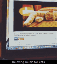 a computer screen that says relaxing music for cats on the top