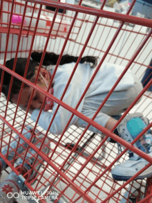 a girl is in a shopping cart with a huawei triple camera