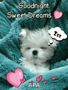 a puppy is sleeping under a blanket with the words goodnight sweet dreams written on it