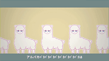 a row of white llamas with blue eyes are lined up on a beige background