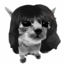 a black and white drawing of a cat with a wig on .