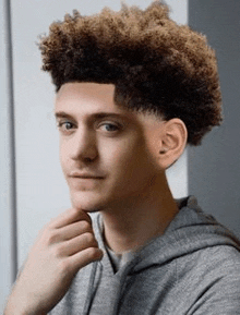 a young man with curly hair and a gray hoodie is looking at the camera .