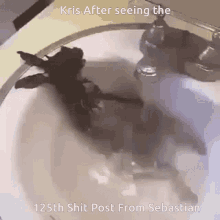 kris after seeing the 125th shit post from sebastian is shown in a sink