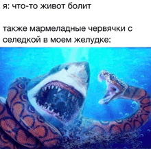 a picture of a snake eating a shark with a caption in a foreign language