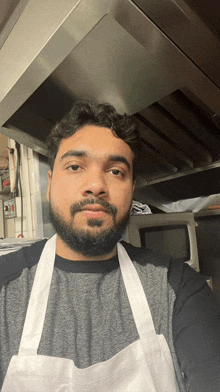 a man with a beard wearing an apron and a gray shirt