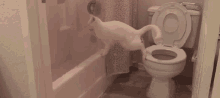 a white cat is standing next to a toilet in a bathroom