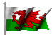 a flag with a red dragon on it is flying in the wind .