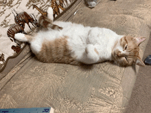 a cat is laying on its back on a couch next to a book that says r on it