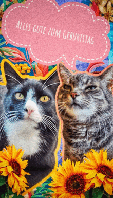 a birthday card with two cats and the words alles gute zum geburtstag on it