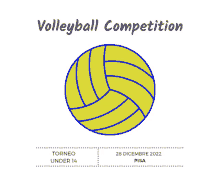 an advertisement for a volleyball competition taking place on december 28th