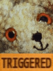 a close up of a teddy bear 's face with the word triggered in the corner