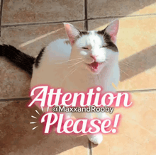 a black and white cat sitting on a tile floor with the words attention please behind it