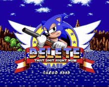 sonic the hedgehog is holding a gun and says delete that shit right now