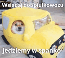 a dog is sitting in a yellow toy car with a caption in a foreign language .