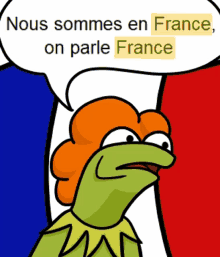 kermit the frog says nous sommes en france on parle france in a speech bubble