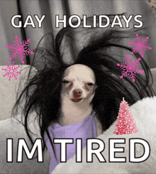 a picture of a dog with a wig on and the words gay holidays im tired