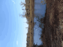 a small body of water surrounded by trees and leaves