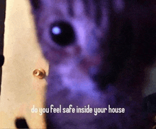 a close up of a cat 's eye with the words do you feel safe inside your house below it