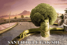 a picture of a broccoli in a jacuzzi with the words santai dulu gak sih below it