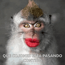 a monkey with red lipstick on its lips and the words que cojones esta pasando contigo on the bottom