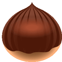 a cartoon illustration of a brown onion