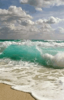 a large wave is crashing on a sandy beach with a cloudy sky in the background .